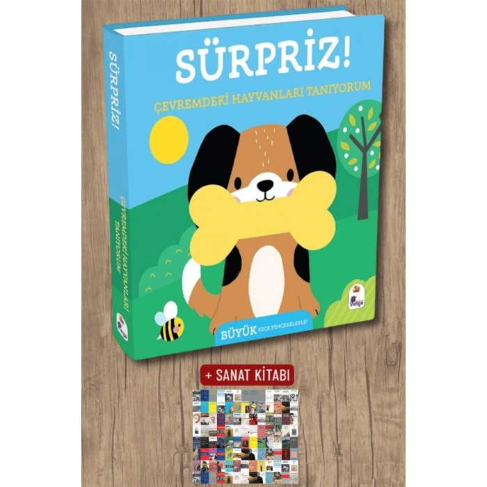 Sanat Kitabı + Sürpriz! - Çevremdeki Hayvanları Tanıyorum (Ciltli) / Kolektif
