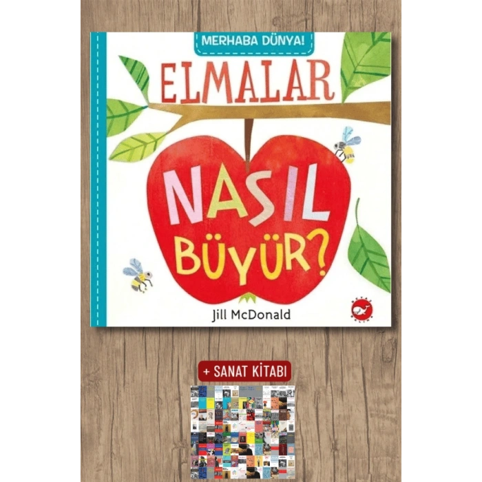 Merhaba Dünya! - Elmalar Nasıl Büyür ?