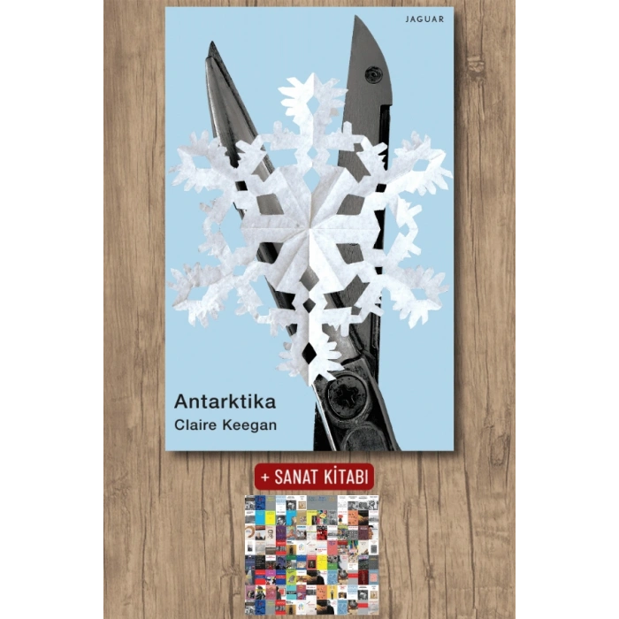 Sanat Kitabı + Antarktika / Claire Keegan