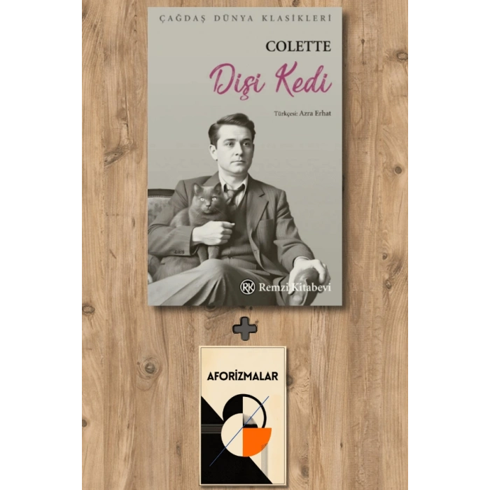 Dişi Kedi