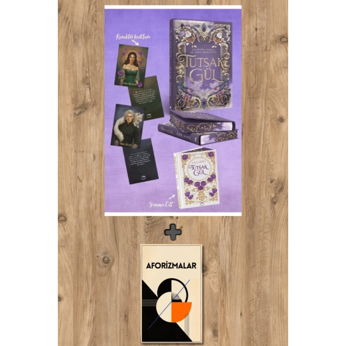 Sanat Kitabı + Tutsak Gül (Ciltli – Yan Boyamalı) / Julie Soto