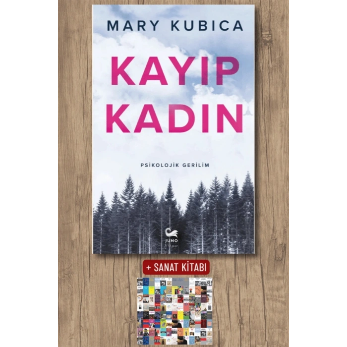 Sanat Kitabı + Kayıp Kadın / Mary Kubica