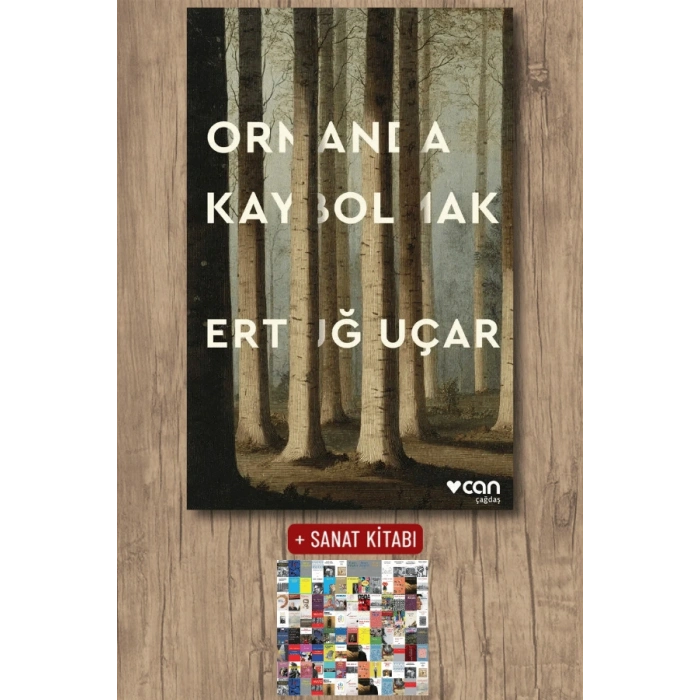 Ormanda Kaybolmak