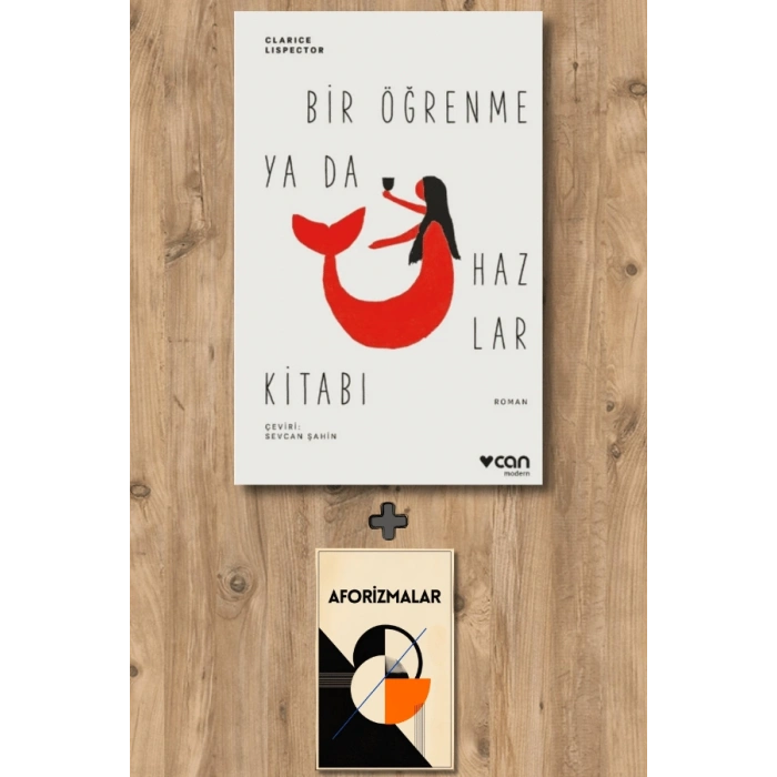 Bir Öğrenme ya da Hazlar Kitabı