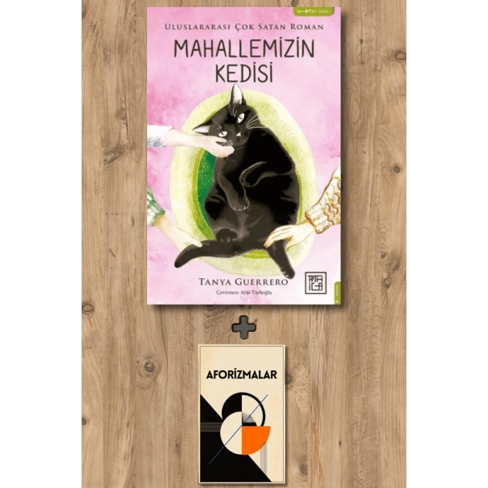Mahallemizin Kedisi