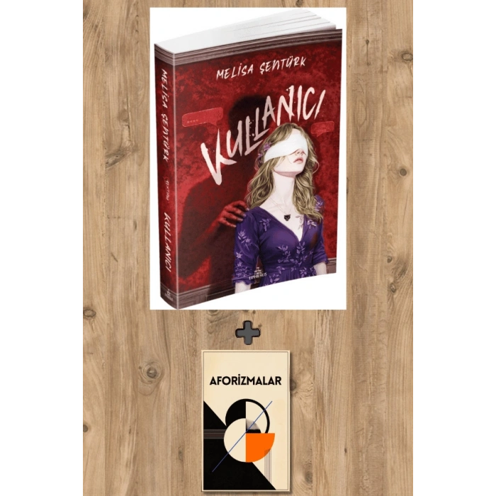 Kullanıcı