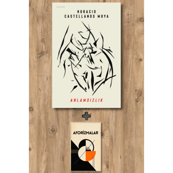 Sanat Kitabı + Anlamsızlık / Horacio Castellanos Moya