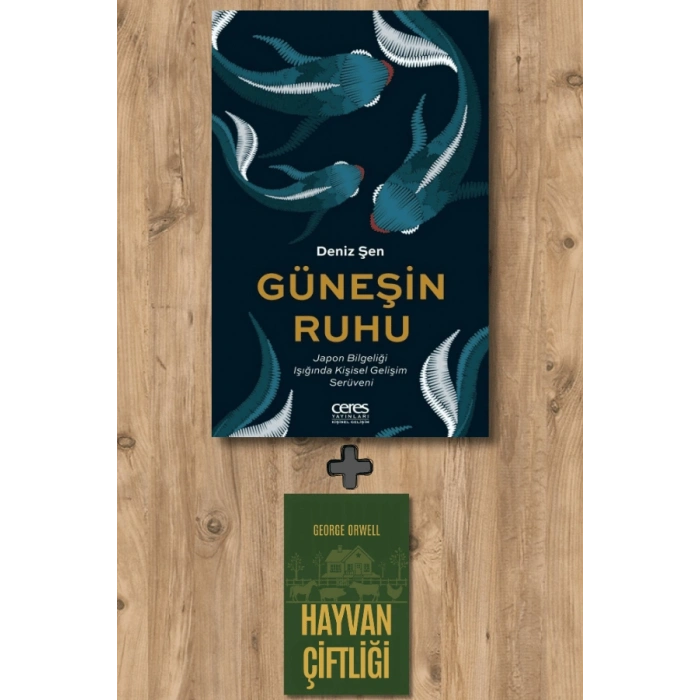 Güneşin Ruhu