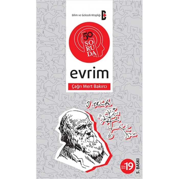 50 Soruda Evrim