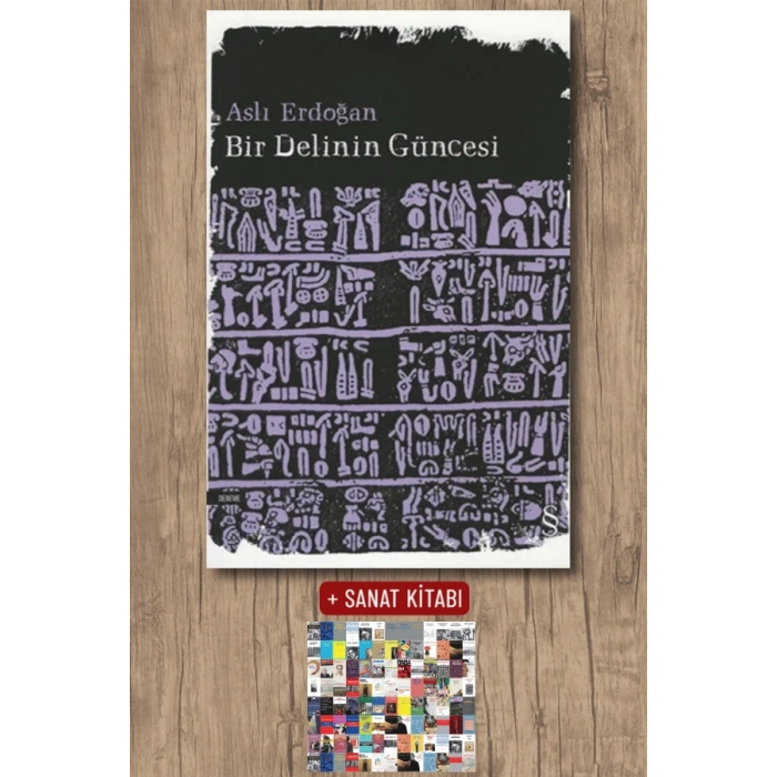 Bir Delinin Güncesi / Aslı Erdoğan + Sanat Kitabı