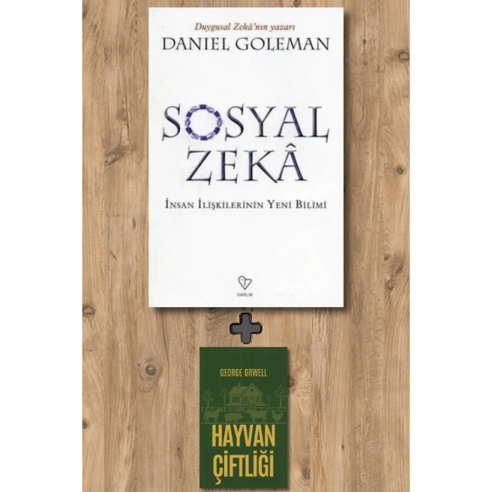 Sosyal Zeka