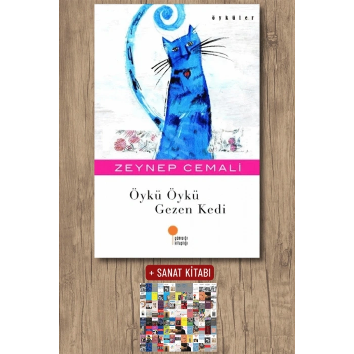 Öykü Öykü Gezen Kedi
