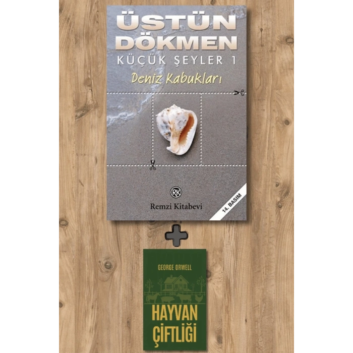 Küçük Şeyler 1 - Deniz Kabukları