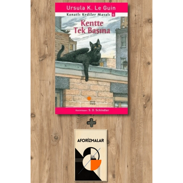 Sanat Kitabı + Kanatlı Kediler Masalı 4 - Kentte Tek Başına / Ursula K. Le Guin