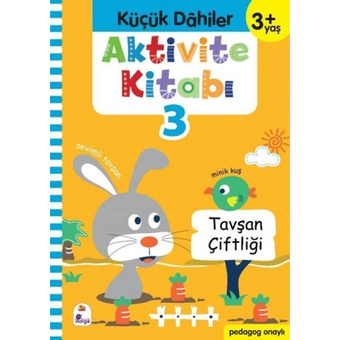 Aktivite Kitabı 3 - Küçük Dahiler 3+Yaş