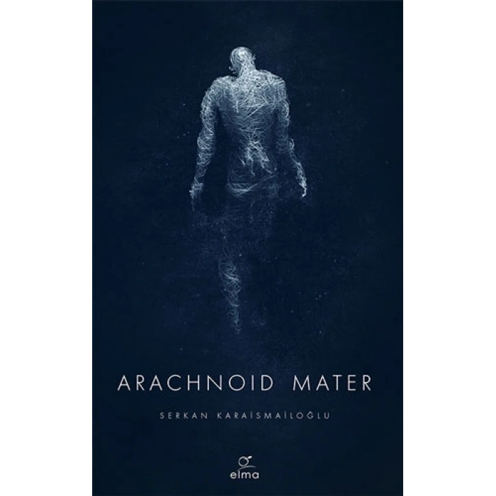 Arachnoid Mater