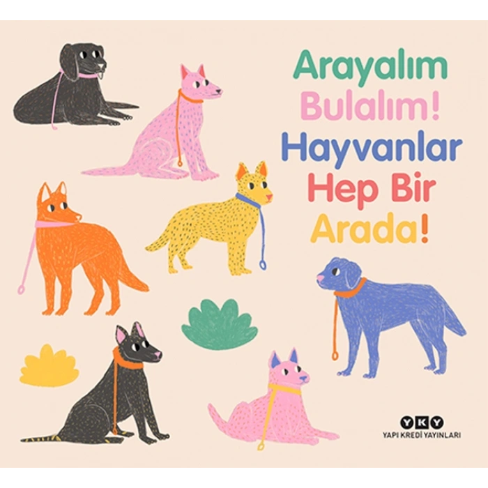 Arayalım Bulalım! Hayvanlar Hep Bir Arada!