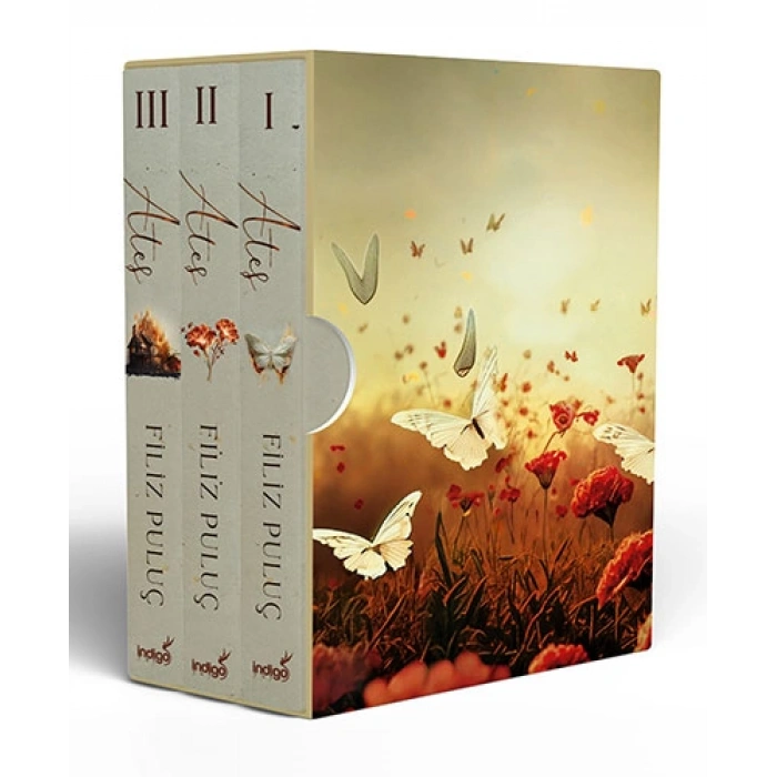 Ateş Serisi - 3 Kitap (Kutulu)