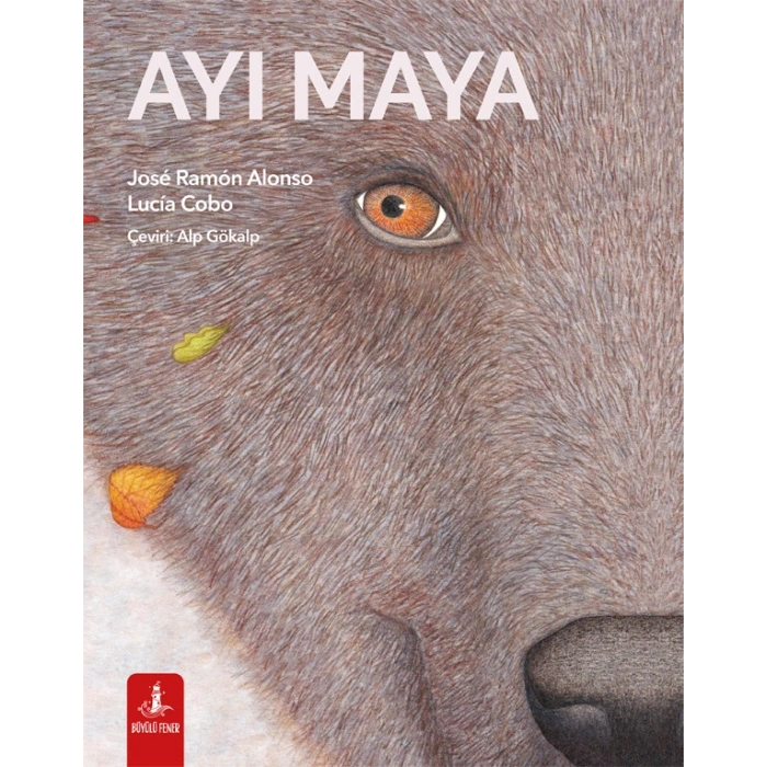 Ayı Maya