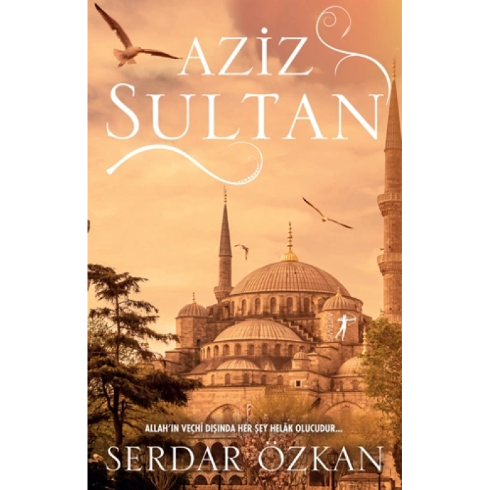 Aziz Sultan