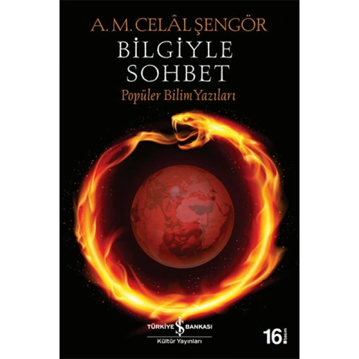 Bilgiyle Sohbet