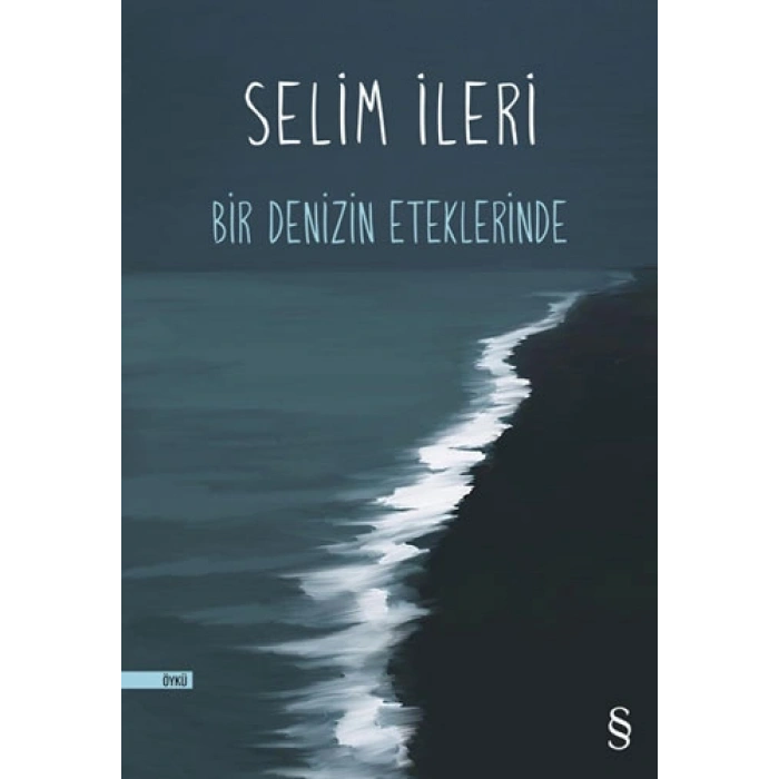 Bir Denizin Eteklerinde