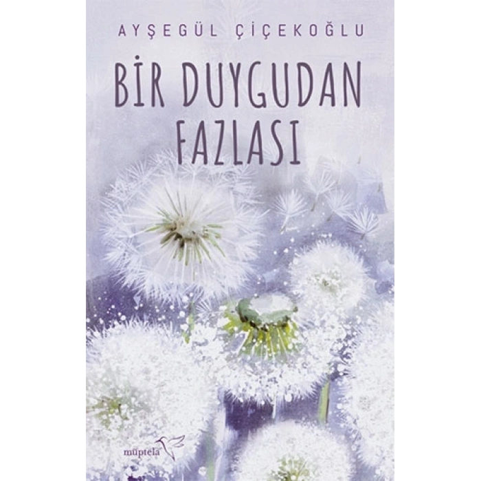Bir Duygudan Fazlası