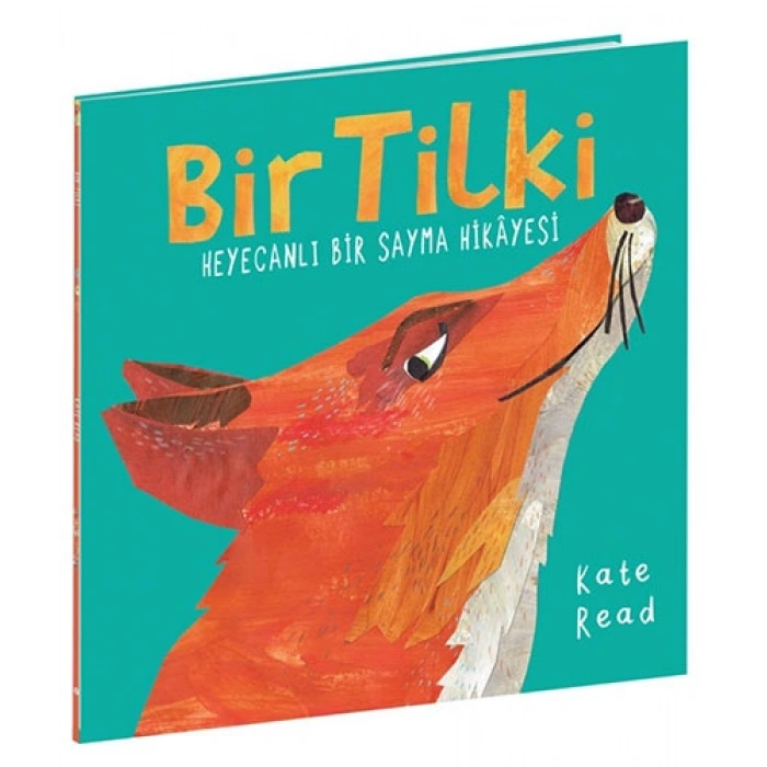 Bir Tilki