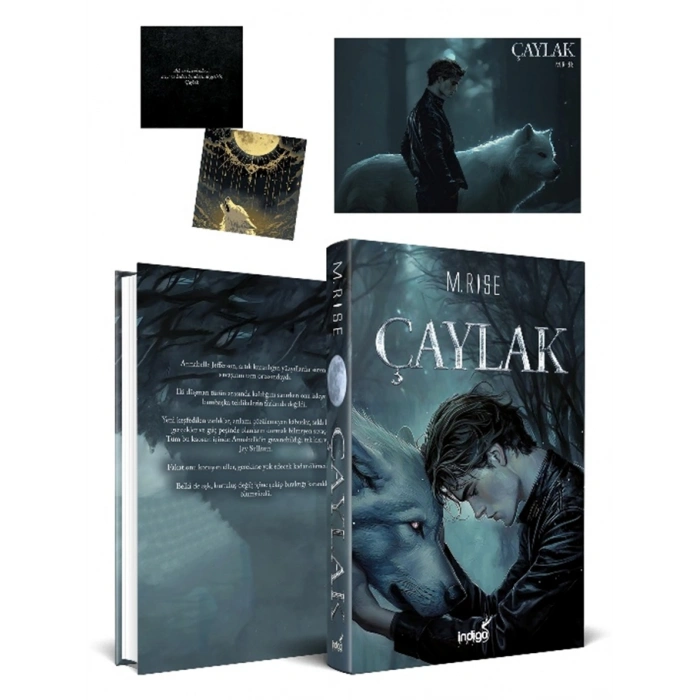 Çaylak (Ciltli)