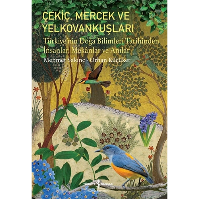 Çekiç Mercek ve Yelkovankuşları