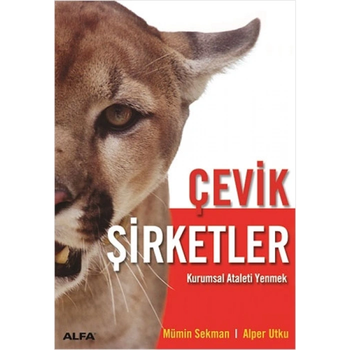 Çevik Şirketler