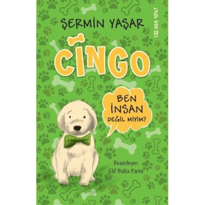 Cingo - Ben İnsan Değil miyim?
