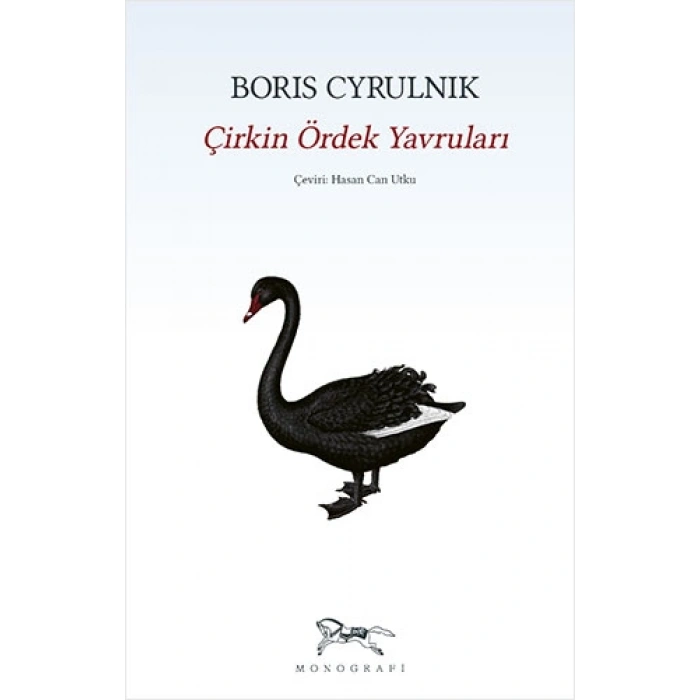 Çirkin Ördek  Yavruları