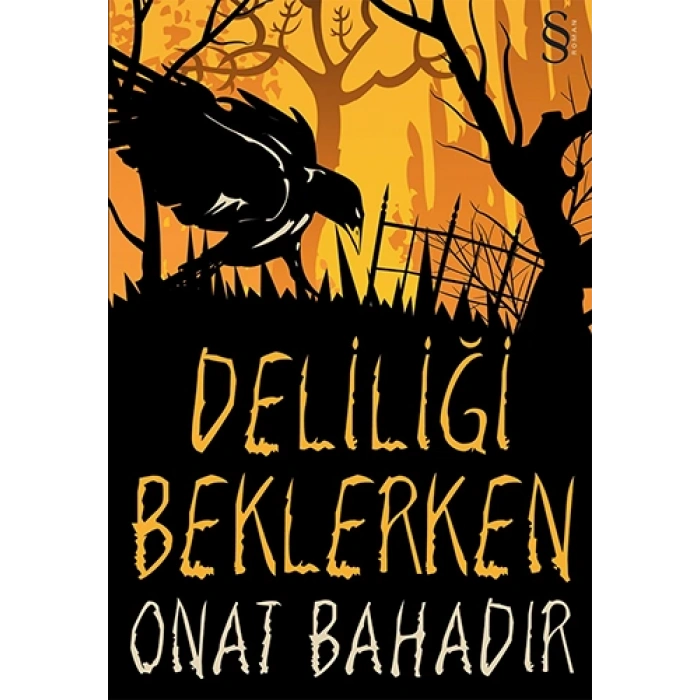 Deliliği Beklerken