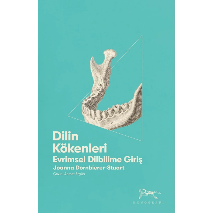 Dilin Kökenleri