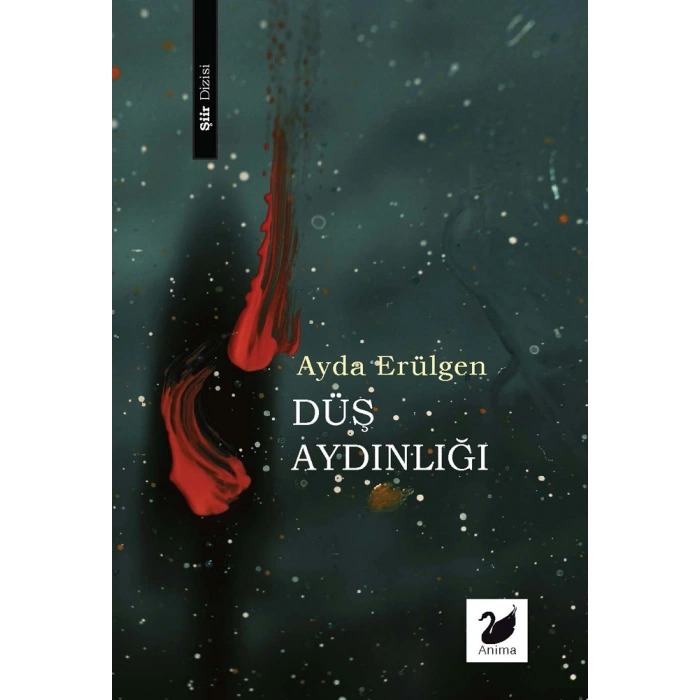 Düş Aydınlığı