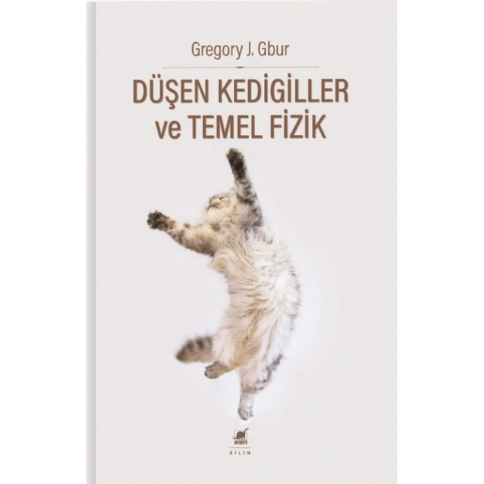Düşen Kedigiller ve Temel Fizik