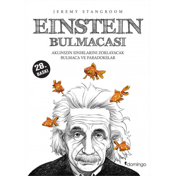 Einstein Bulmacası