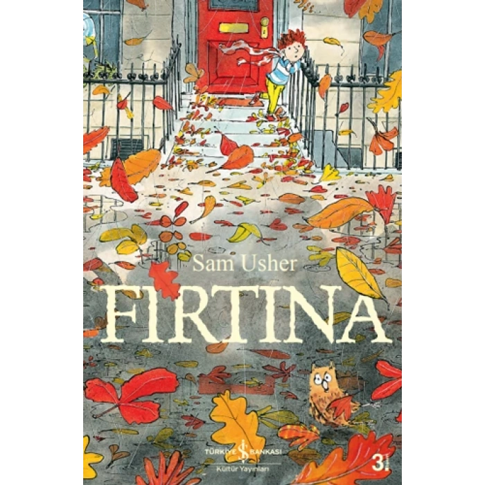 Fırtına