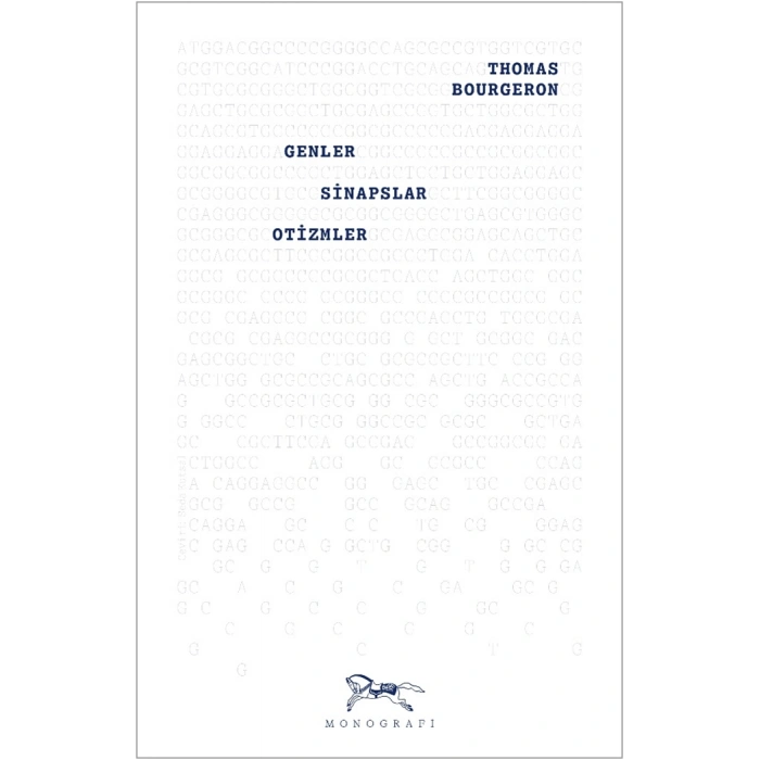 Genler, Sinapslar, Otizmler