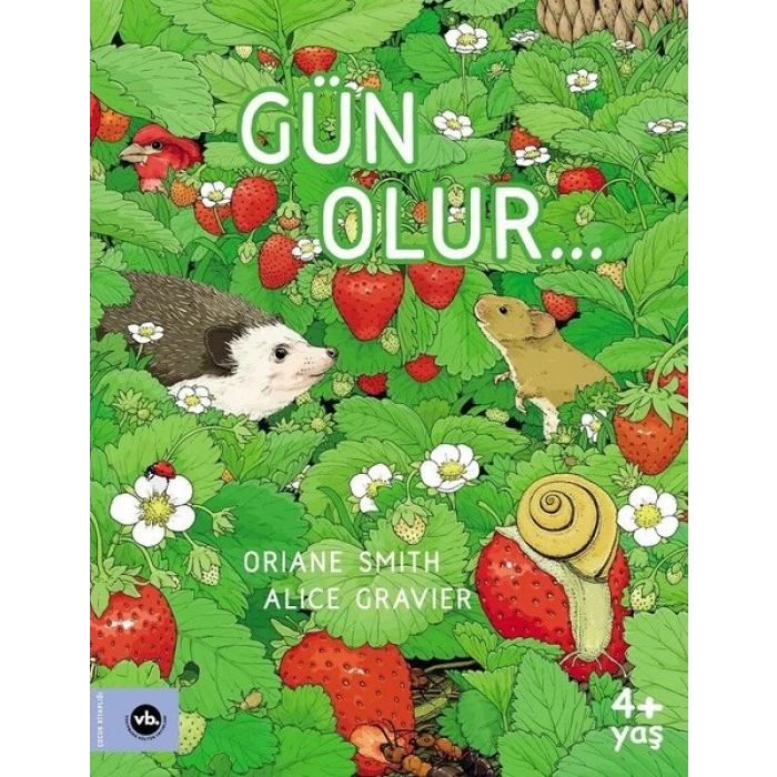 Gün Olur