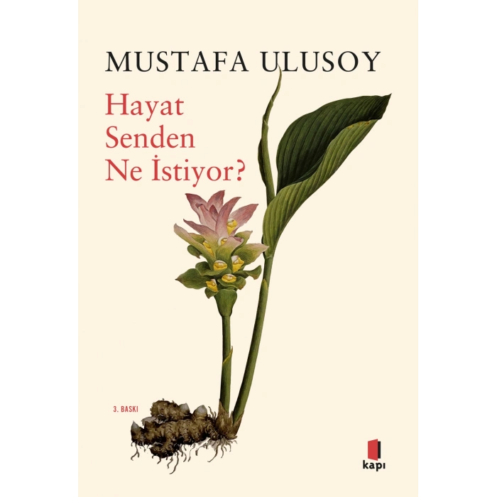 Hayat Senden Ne İstiyor?