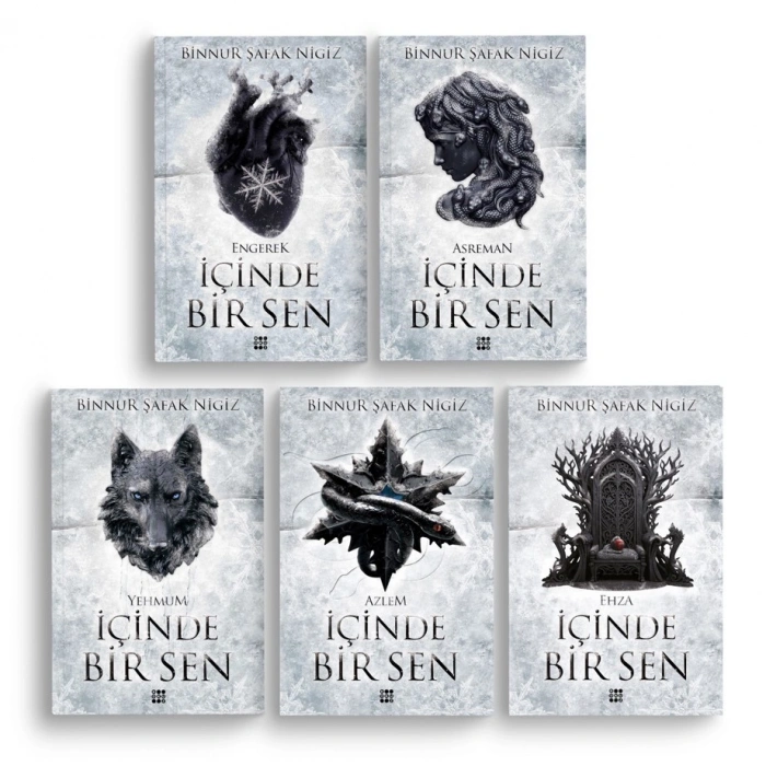 İçinde Bir Sen 5 Kitap Takım (Ciltli)