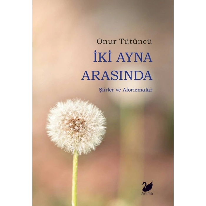 İki Ayna Arasında