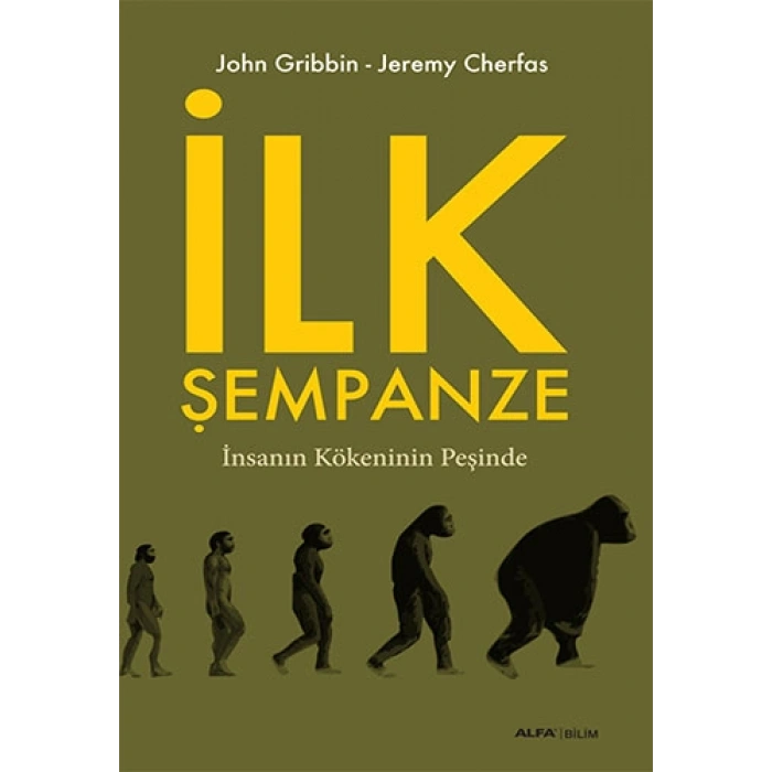 İlk Şempanze