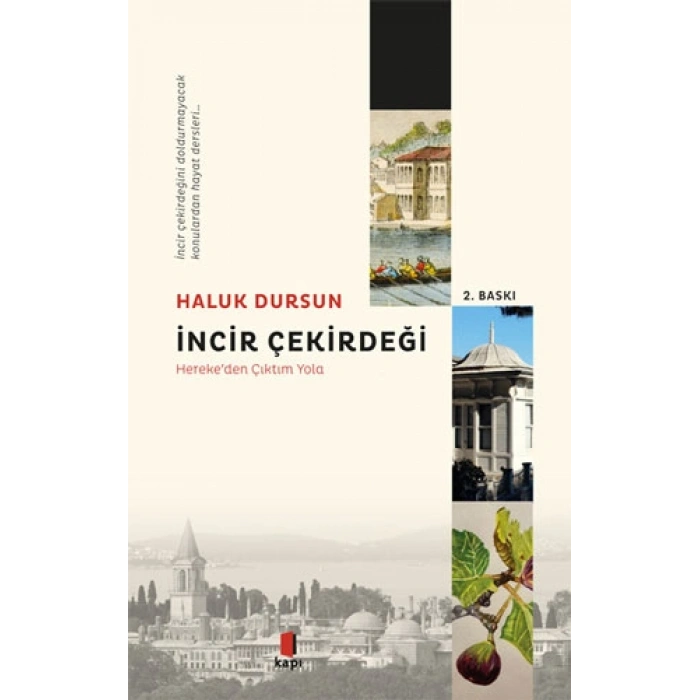 İncir Çekirdeği