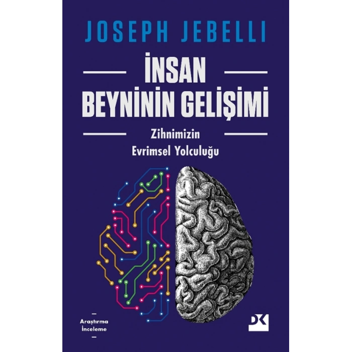 İnsan Beyninin Gelişimi