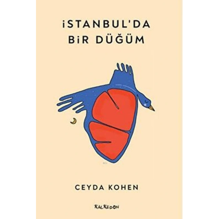 İstanbul’da Bir Düğüm