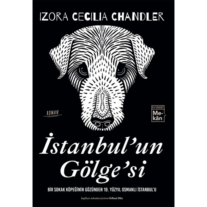 İstanbul’un Gölge’si
