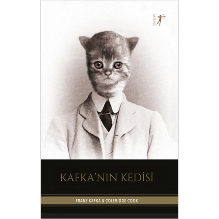 Kafkanın Kedisi / Franz Kafka + Sanat Kitabı